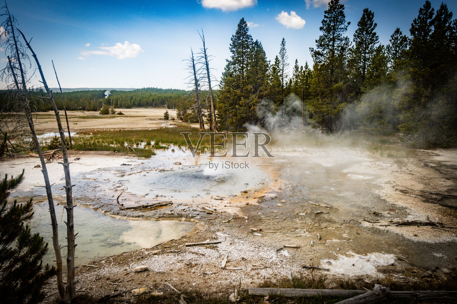 怀俄明州黄石国家公园诺里斯间歇泉盆地后盆地的分钟间歇泉照片摄影图片
