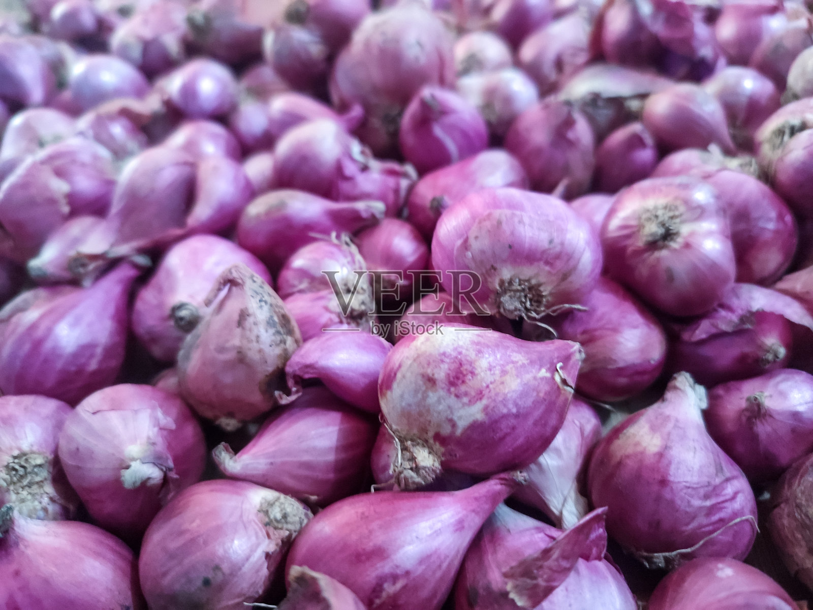 红洋葱照片摄影图片