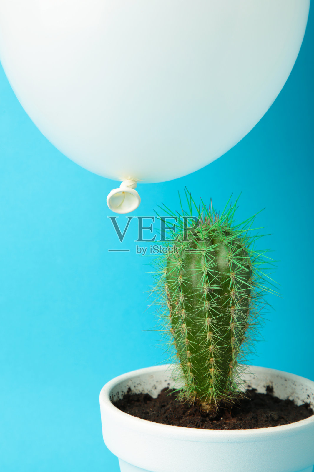 白色气球和仙人掌在蓝色背景，垂直照片照片摄影图片