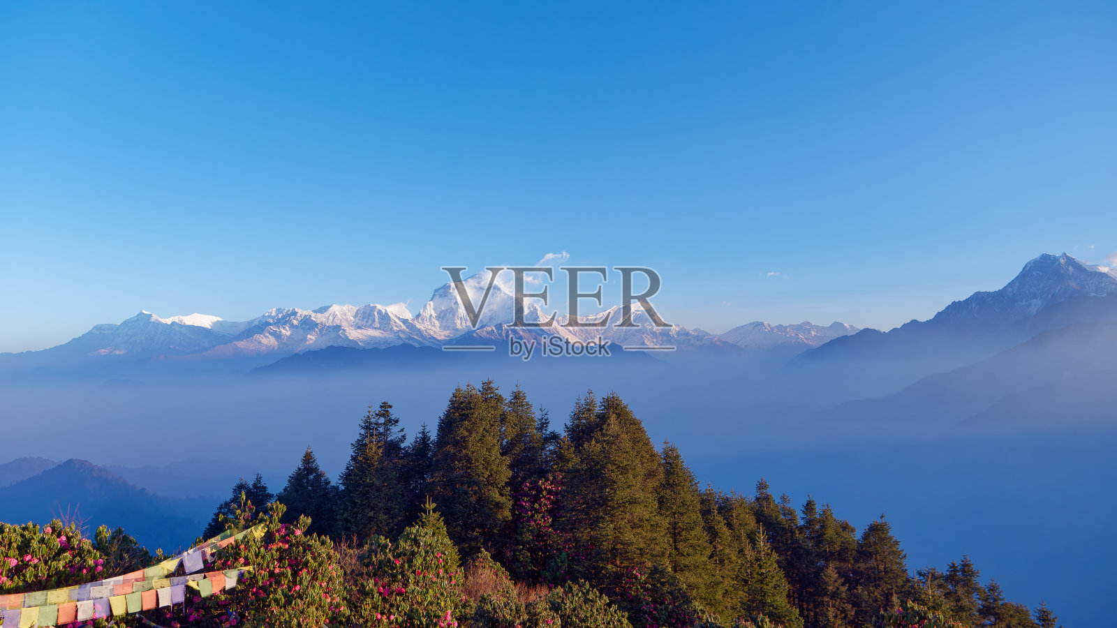 从尼泊尔潘山徒步旅行俯瞰安纳普尔纳山脉的宁静早晨照片摄影图片