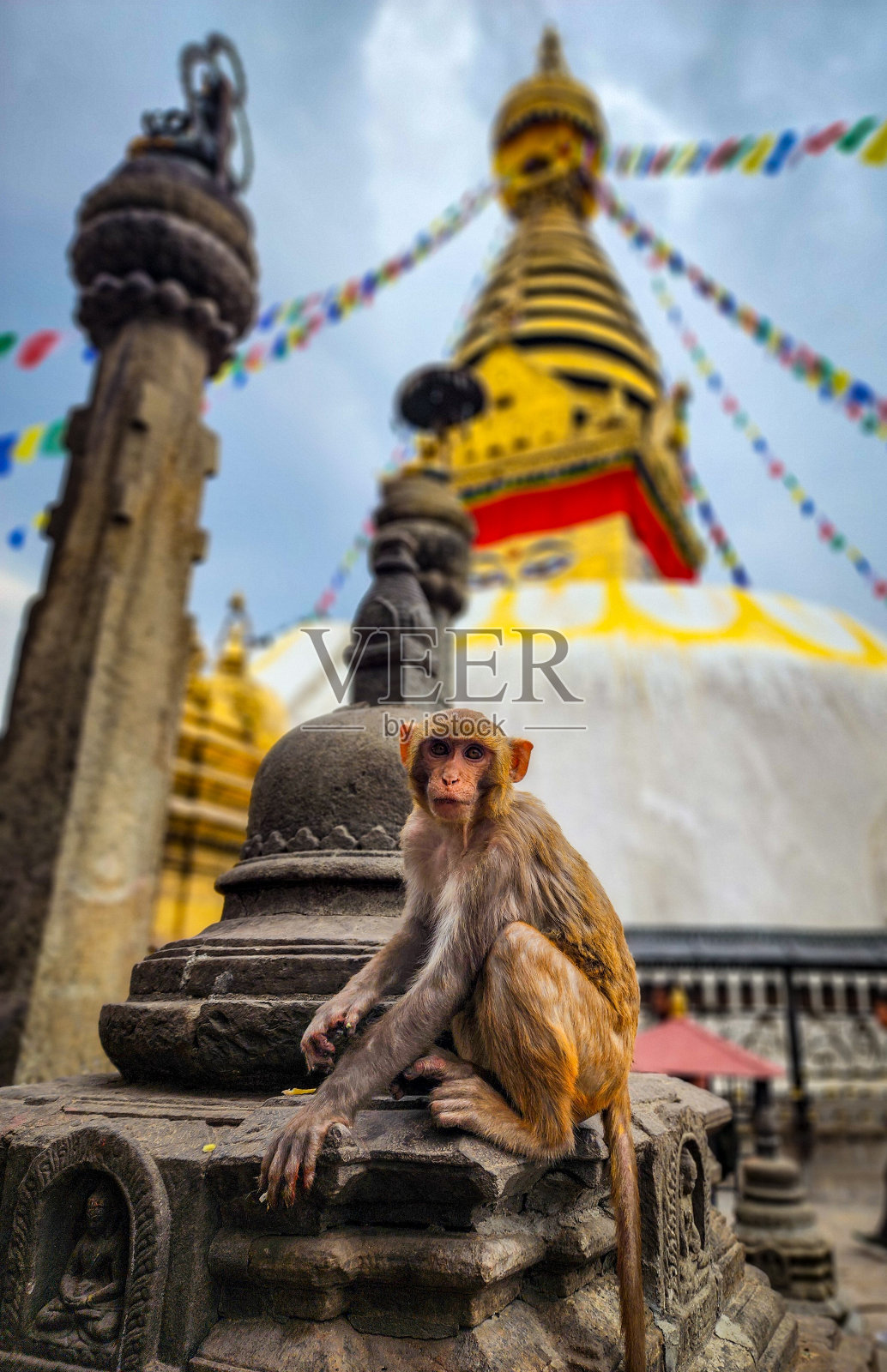 一只猴子在尼泊尔Swayambhunath雄伟的佛塔附近，这是一个神圣的历史遗址。照片摄影图片