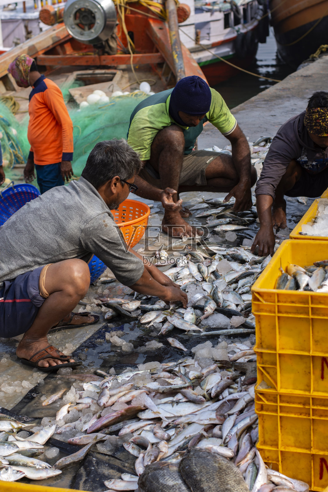 渔民整理和包装从海上捕获的鱼。照片摄影图片