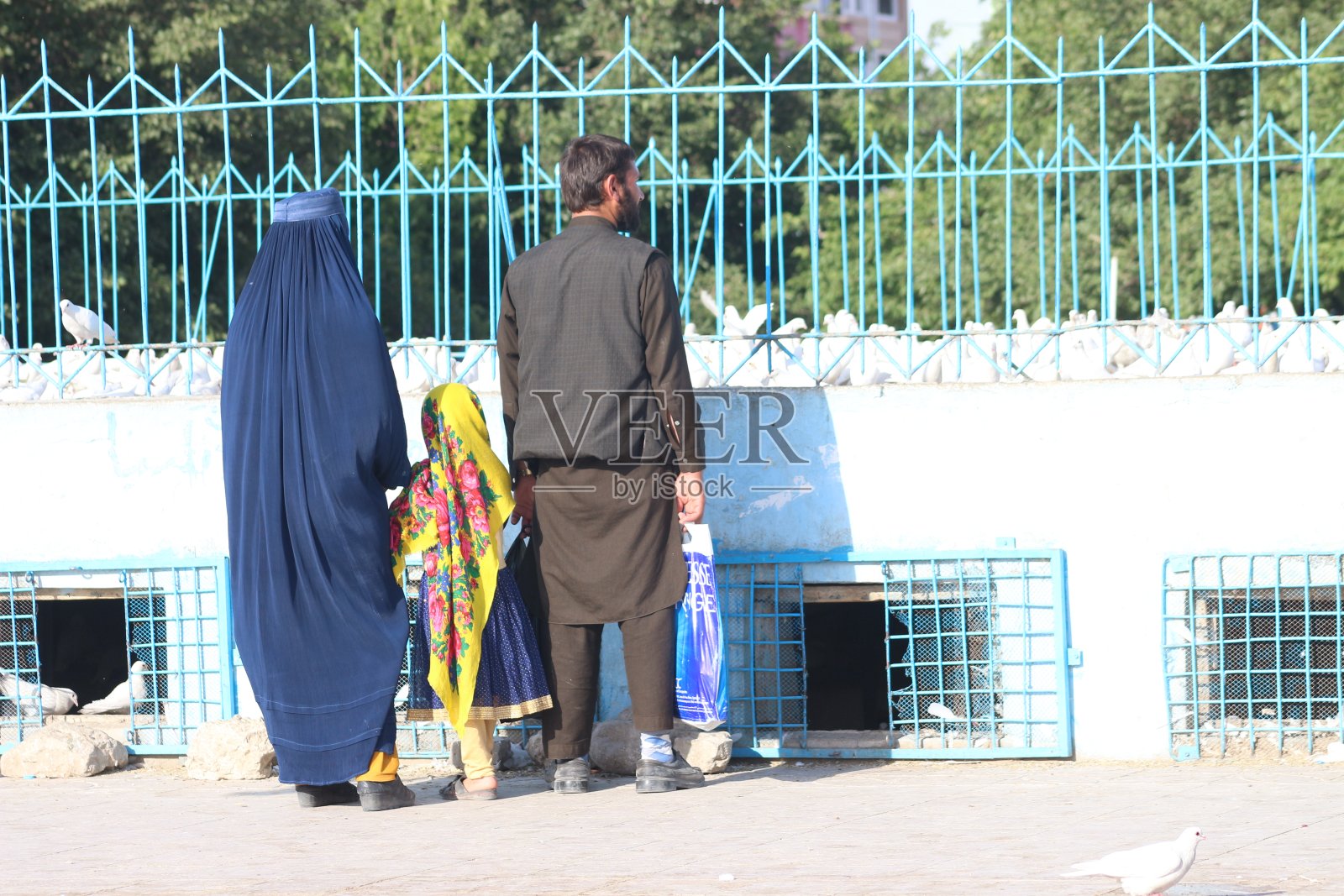 哈扎特·阿里神殿照片摄影图片