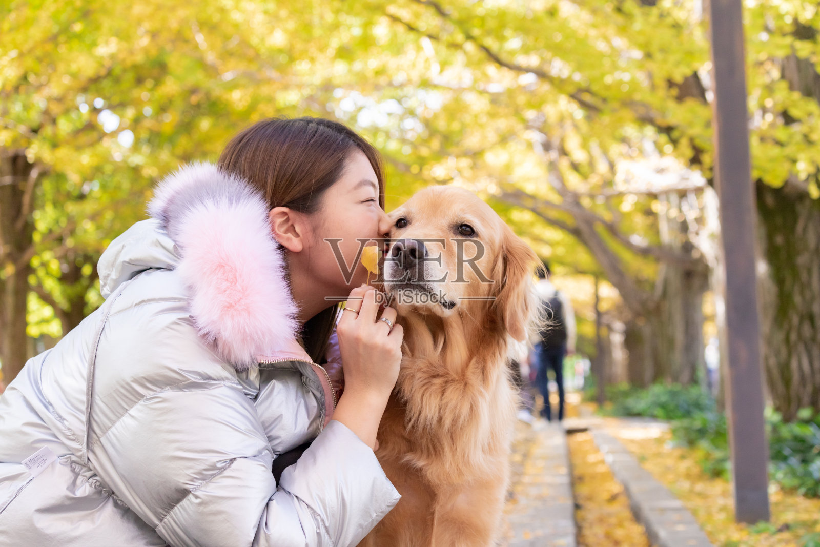 宠物女主人亲吻她的狗照片摄影图片