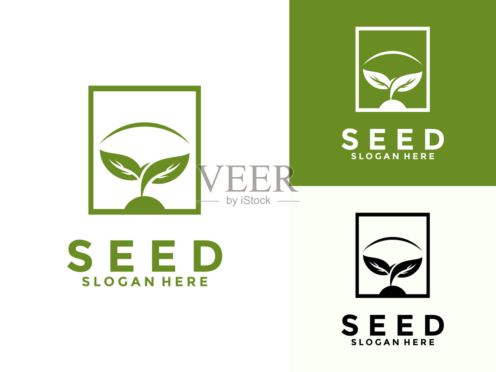 种子生长标志矢量，植物标志设计的农业，农业，农田，自然收获，农民协会和更多。插画图片素材