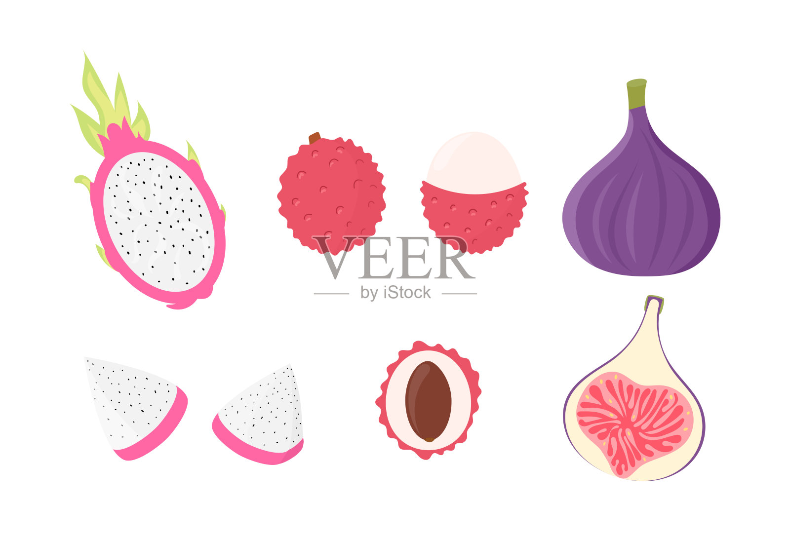 一套热带水果。荔枝果、火龙果、无花果果。插画图片素材