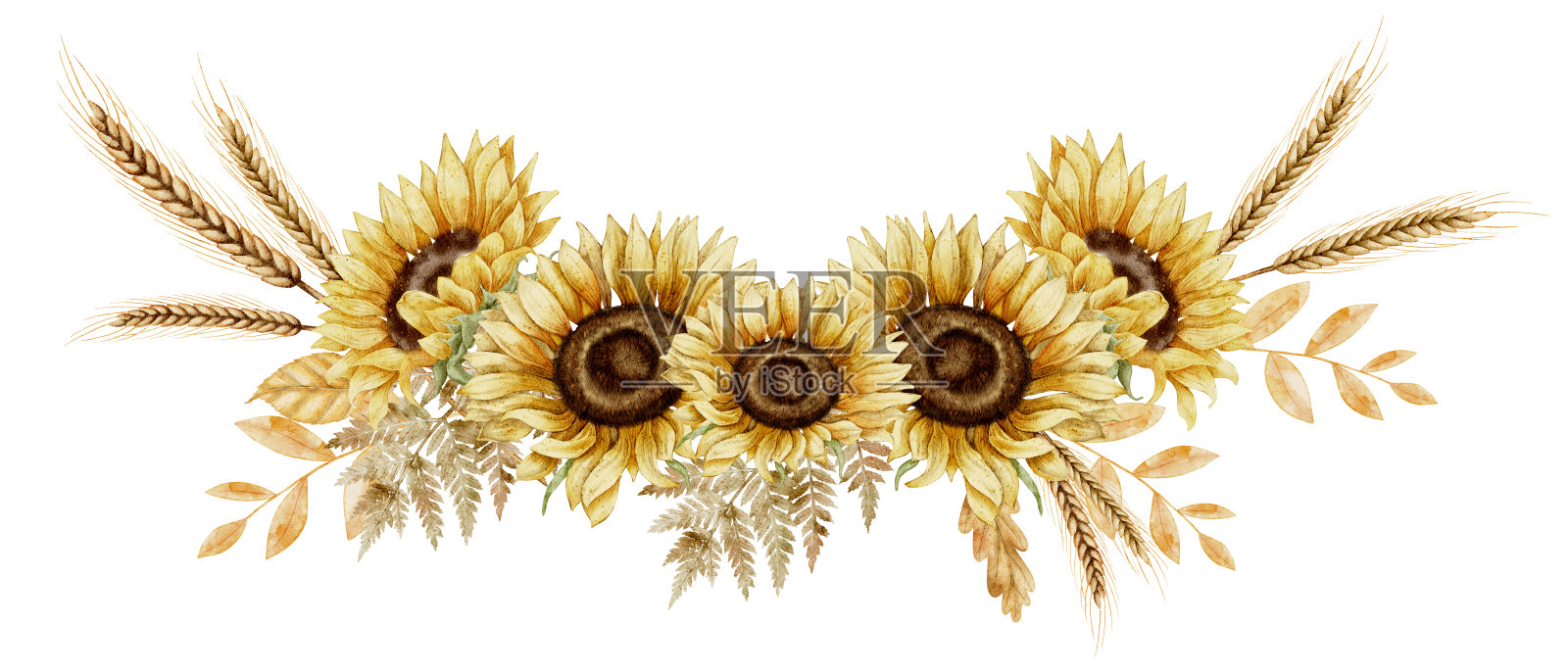 向日葵与小穗和秋天的树枝。秋天的水彩插图花和小麦在橙色和黄色的收获节日贺卡或花卉婚礼请柬插画图片素材