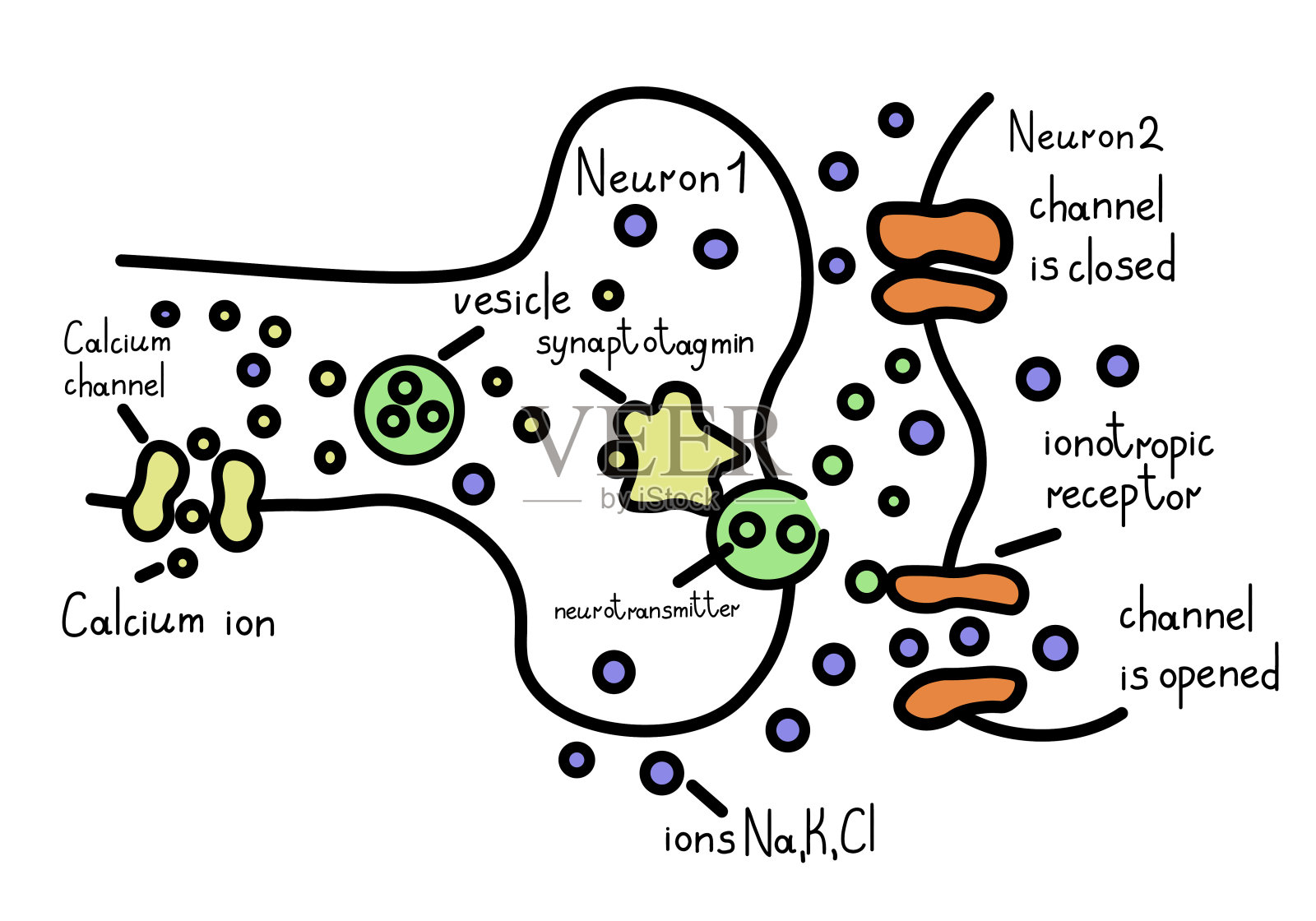 神经元矢量图插画图片素材