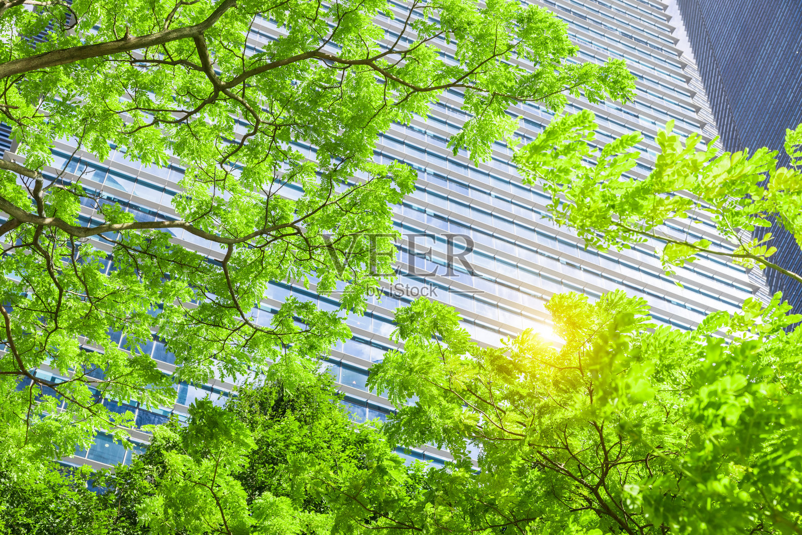 可持续资源-绿色建筑照片摄影图片