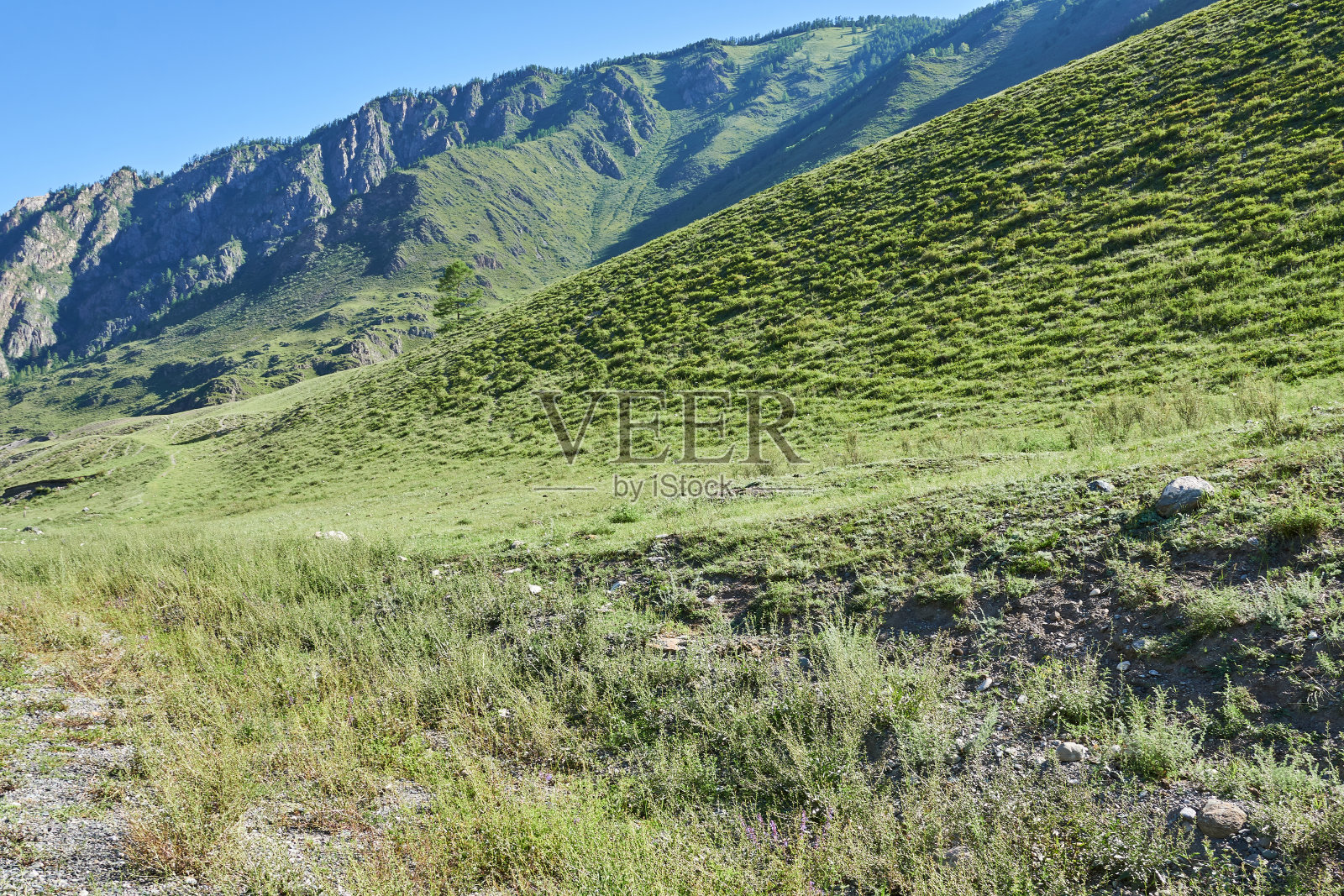 夏季的山地景观，阿尔泰山。照片摄影图片