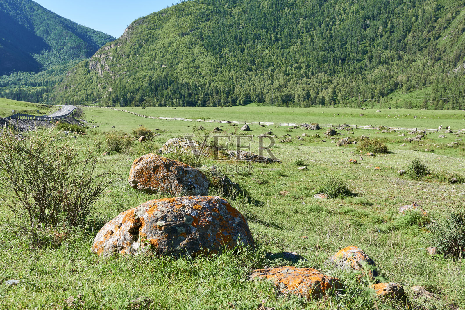 山上的岩石草地。阿尔泰，西伯利亚，俄罗斯照片摄影图片
