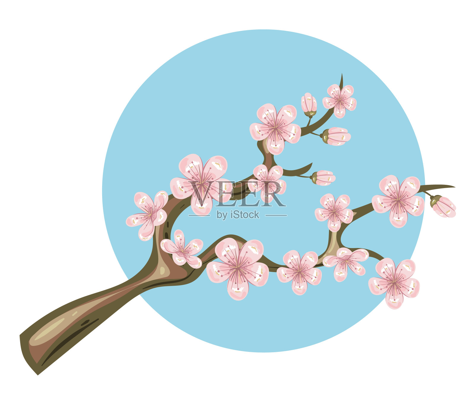 樱花枝樱花孤集。矢量平面图形设计插图插画图片素材