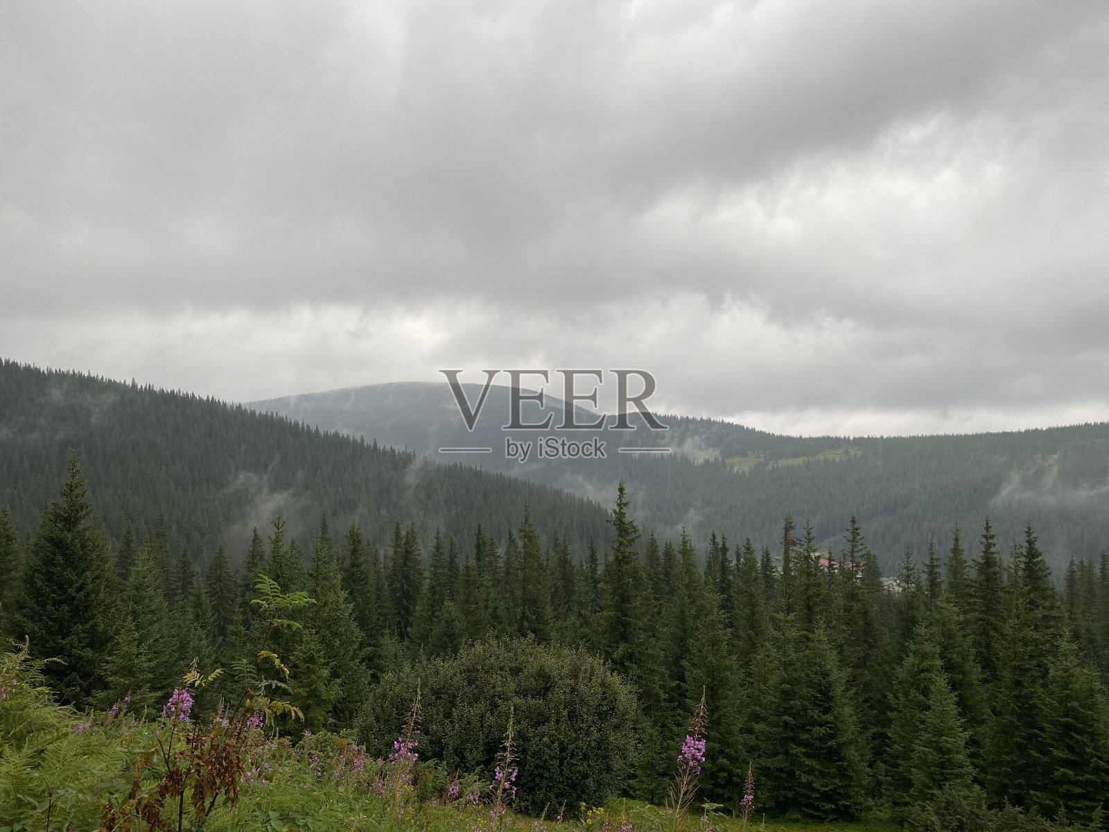 风景与夏天的山与雾照片摄影图片