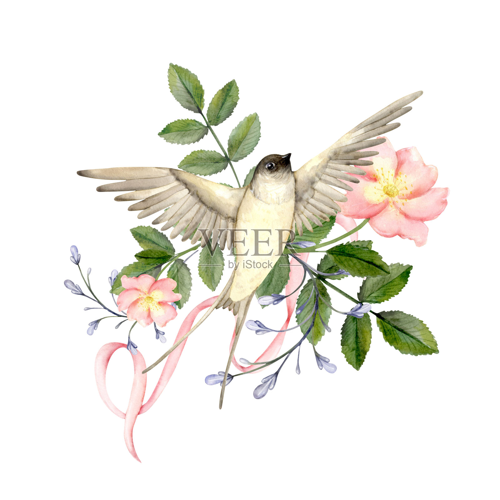 一只燕子戴着粉红色的狗玫瑰花插画图片素材