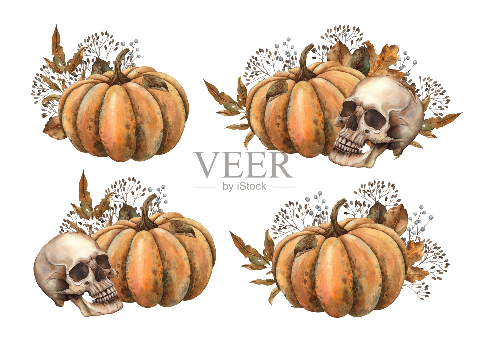 橙色南瓜，有秋天的干叶子，浆果，树枝和人的头骨。哥特式风格的水彩画组合。用于装饰，秋季卡片，亡灵节，万圣节，包装，织物。插画图片素材