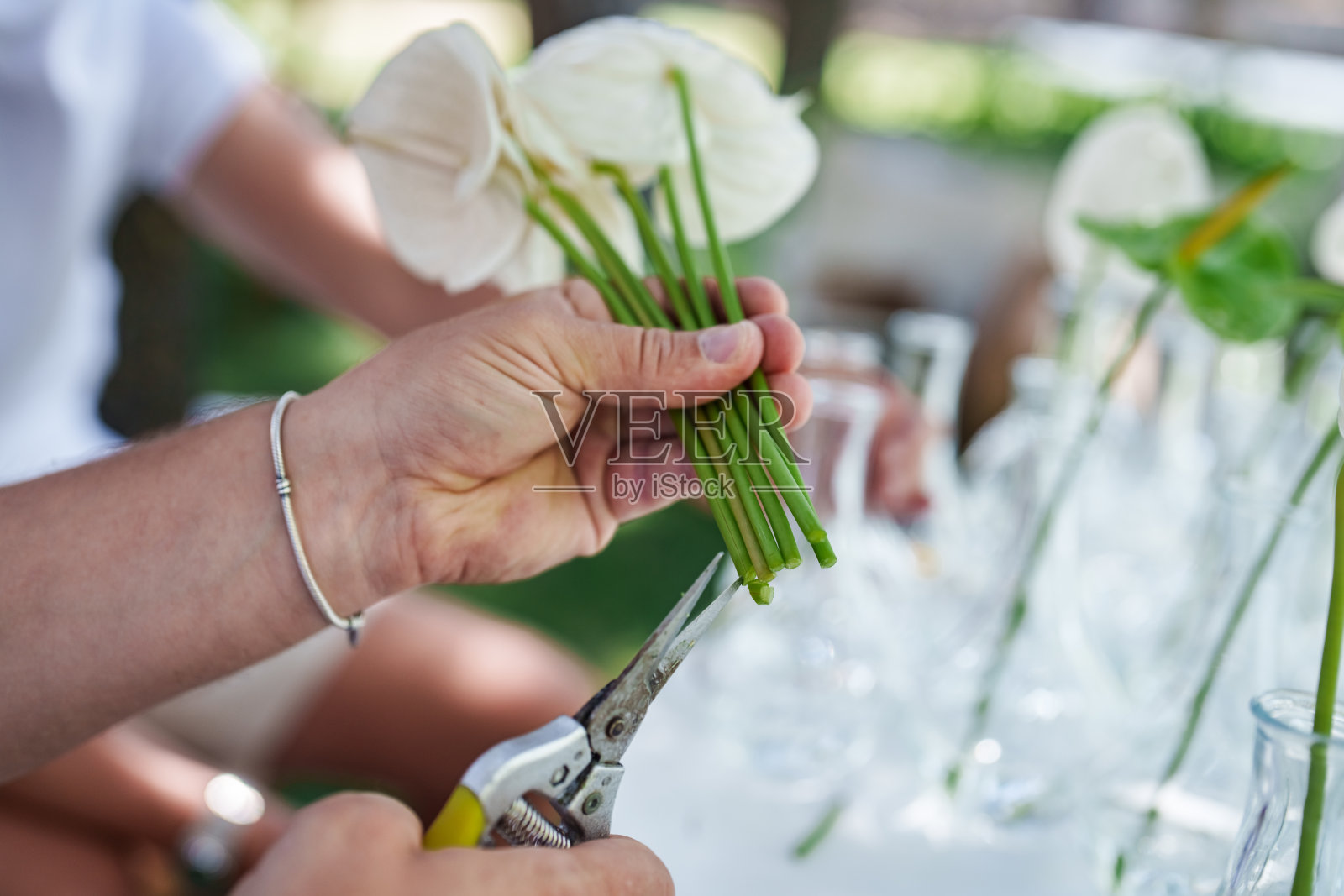 婚礼策划小组的一个人正在剪百合的茎。照片摄影图片