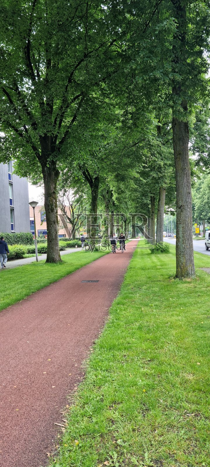 公路自行车的红色线照片摄影图片