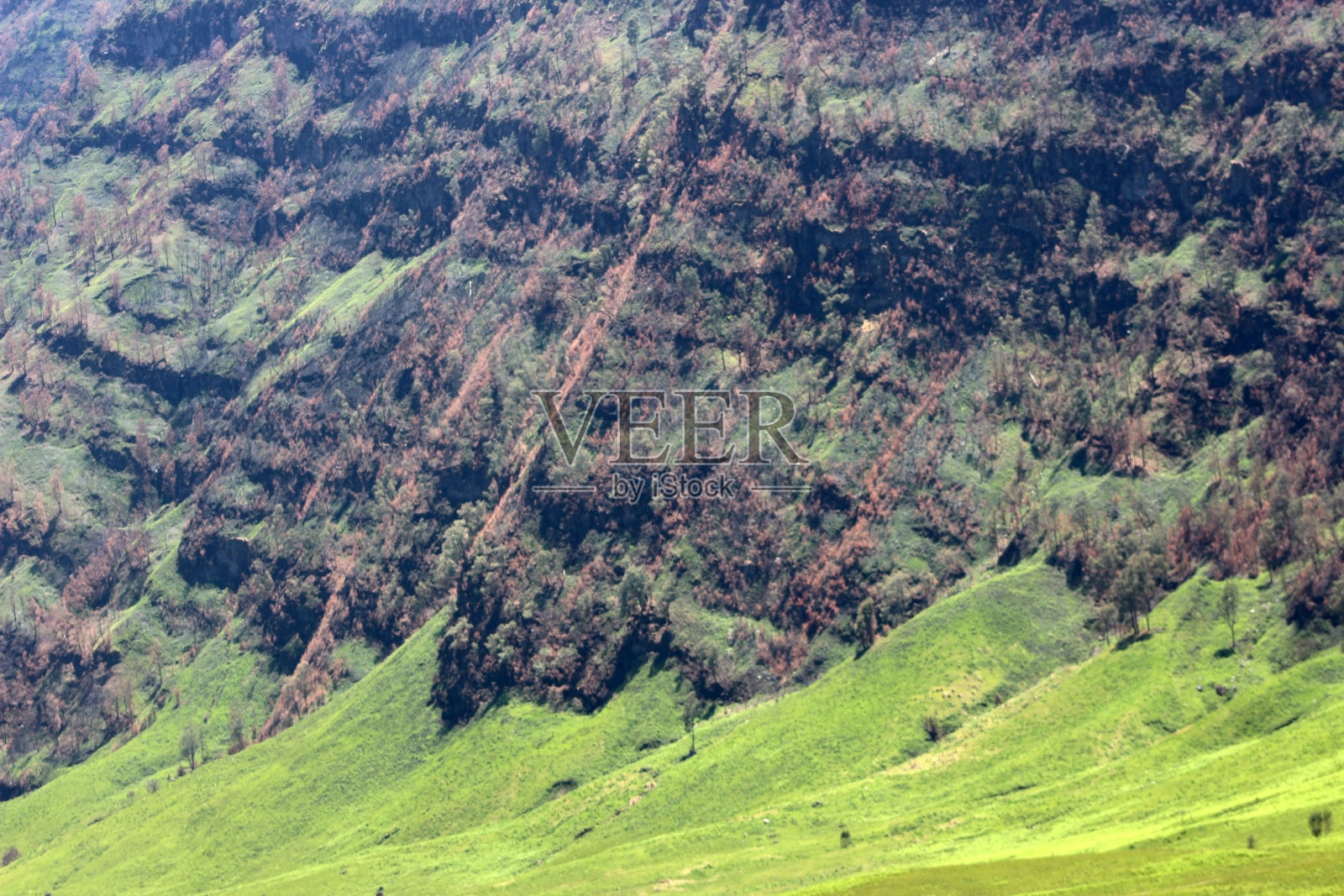Jemplang山谷，位于Bromo Tengger塞梅鲁国家公园地区的382公顷的稀树草原。照片摄影图片