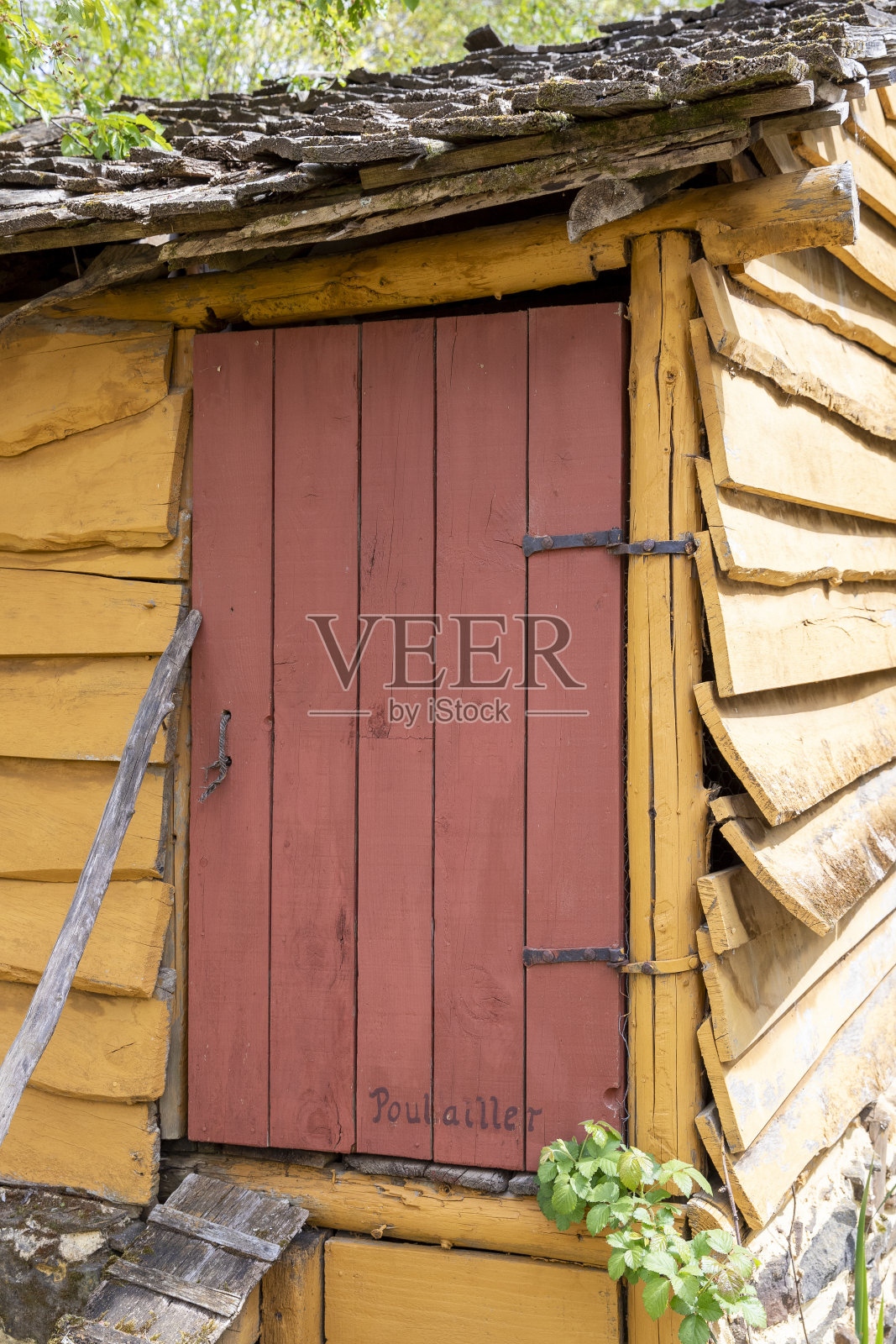 花园里有个黄色的木制鸡笼，红色的门关着。照片摄影图片
