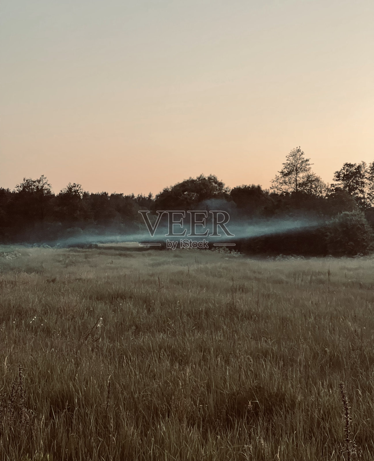 河上的薄雾照片摄影图片