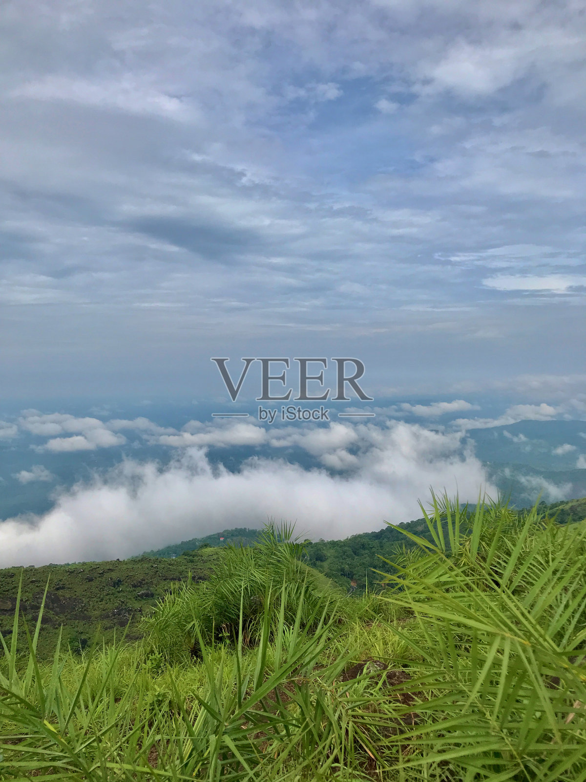 从云层上看照片摄影图片