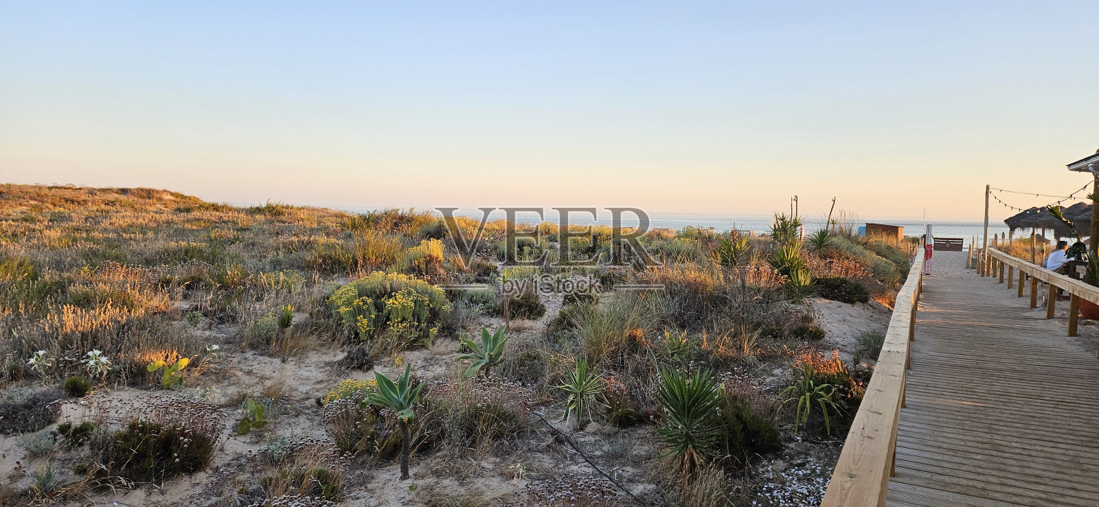 通往海滩的小路照片摄影图片