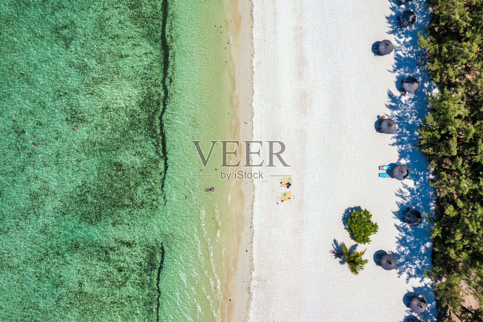 热带海滩风光，天堂岛毛里求斯度假。梦幻异域小岛，热带天堂。毛里求斯岛最好的海滩，毛里求斯的豪华度假胜地，印度洋，非洲。照片摄影图片