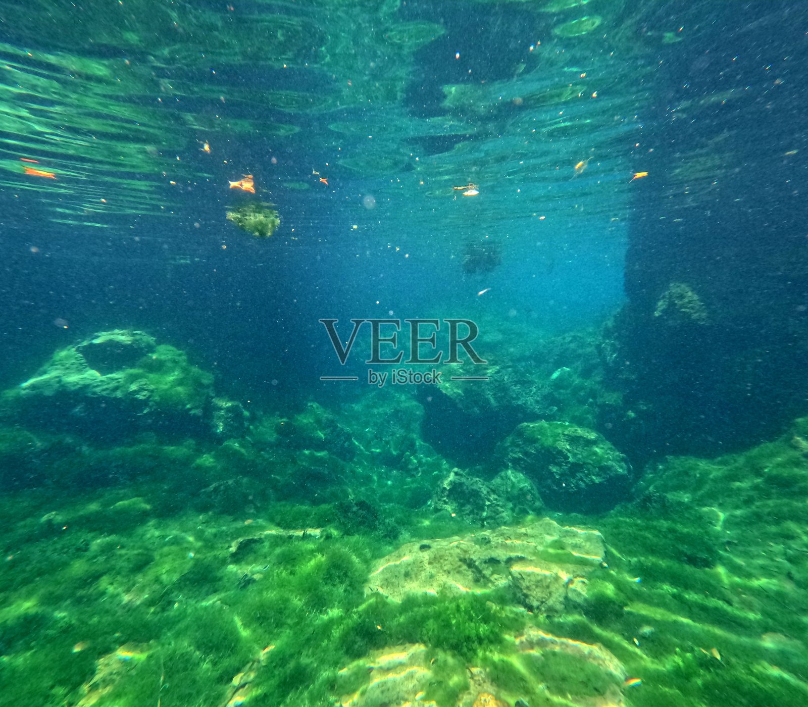 在天然井下面照片摄影图片