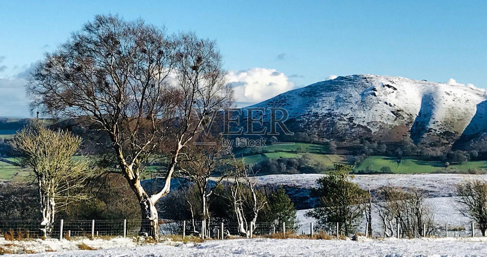 Caer Caradoc与树在冬天的前景照片摄影图片