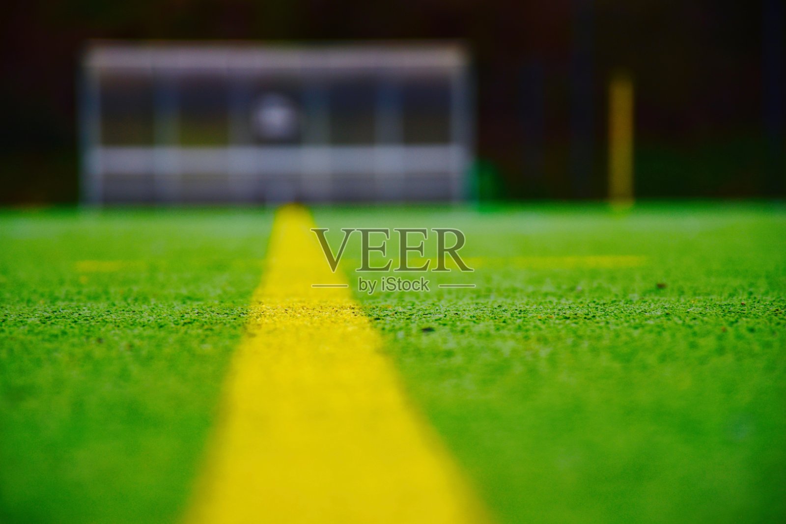 草地场地的表面水平照片摄影图片