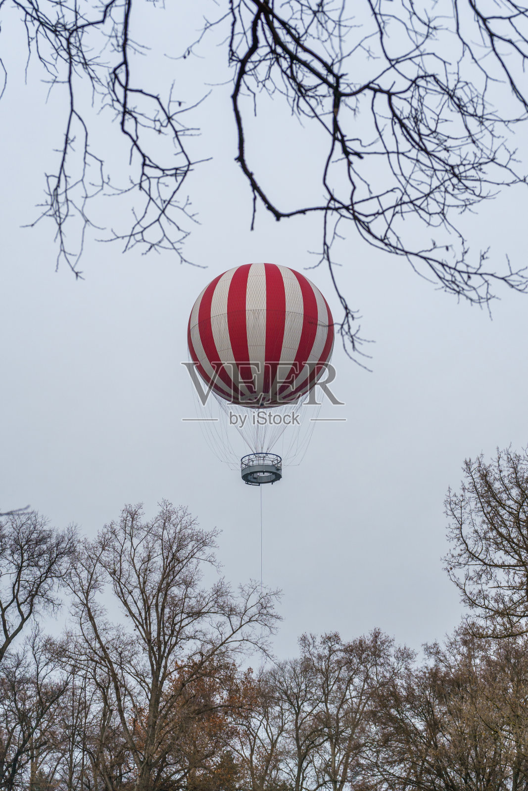 有树的热气球照片摄影图片