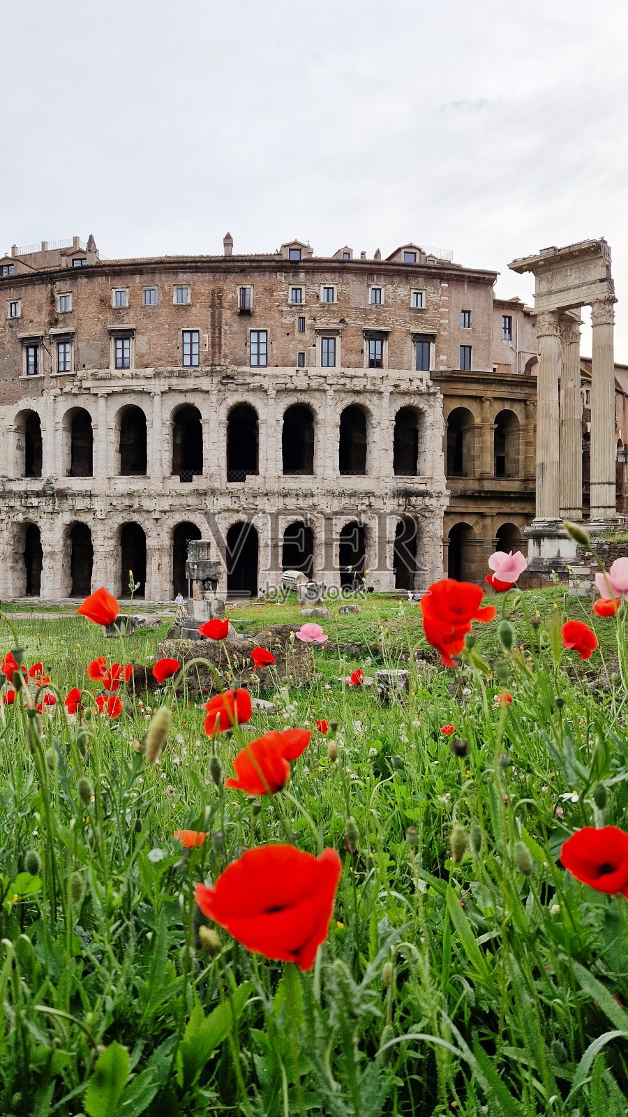 马塞洛剧院，游客漫步在意大利罗马的考古遗迹中照片摄影图片