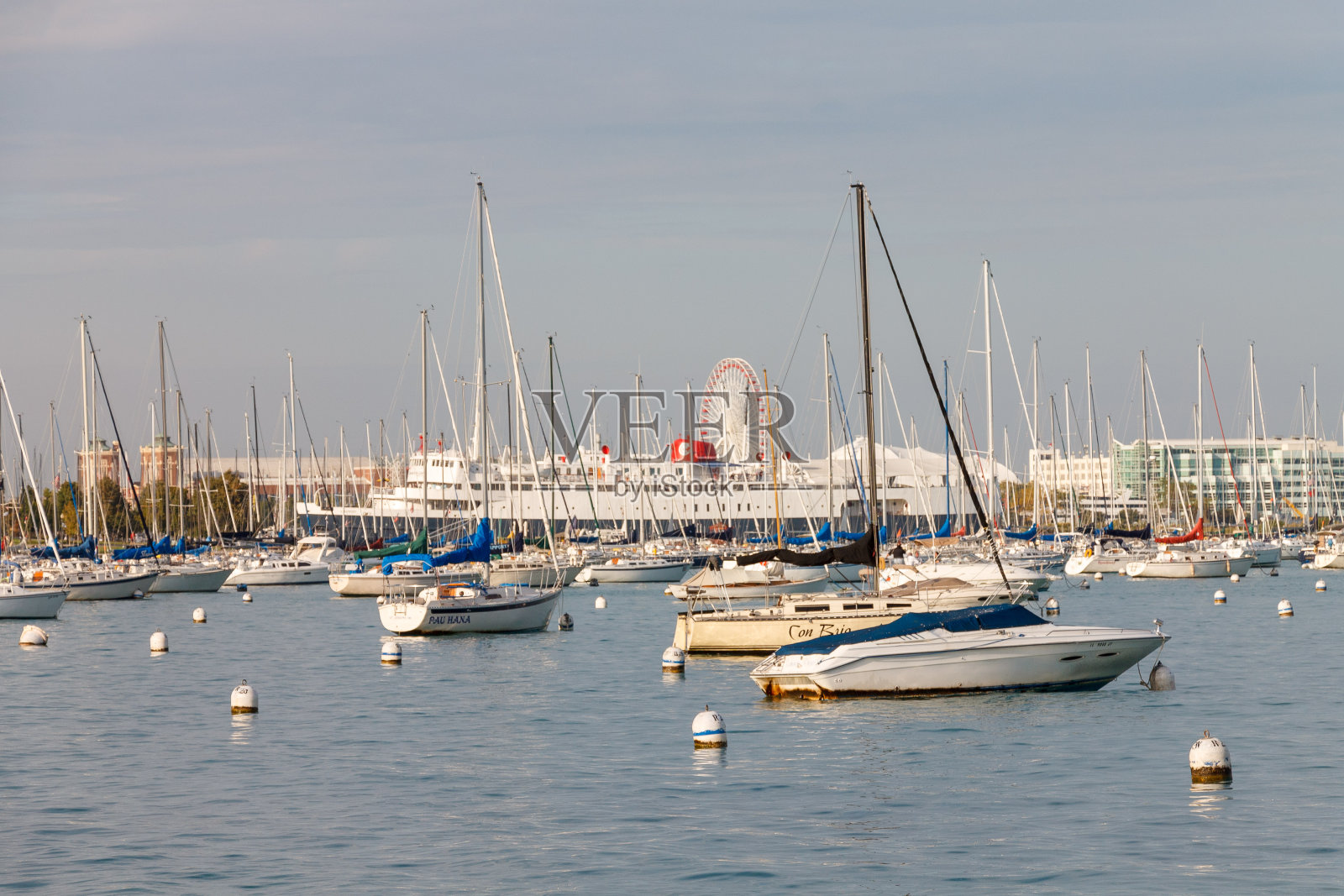 帆船密歇根湖海军码头芝加哥,伊利诺斯州,美国照片摄影图片