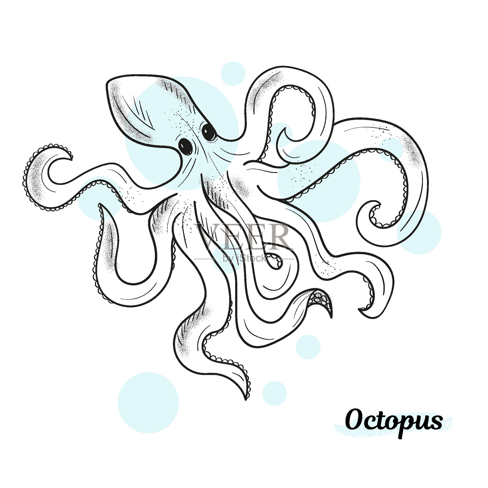 的章鱼。手绘鱿鱼雕刻海洋动物。蚀刻章鱼矢量插图。手绘鱼餐厅菜单和海鲜插画图片素材