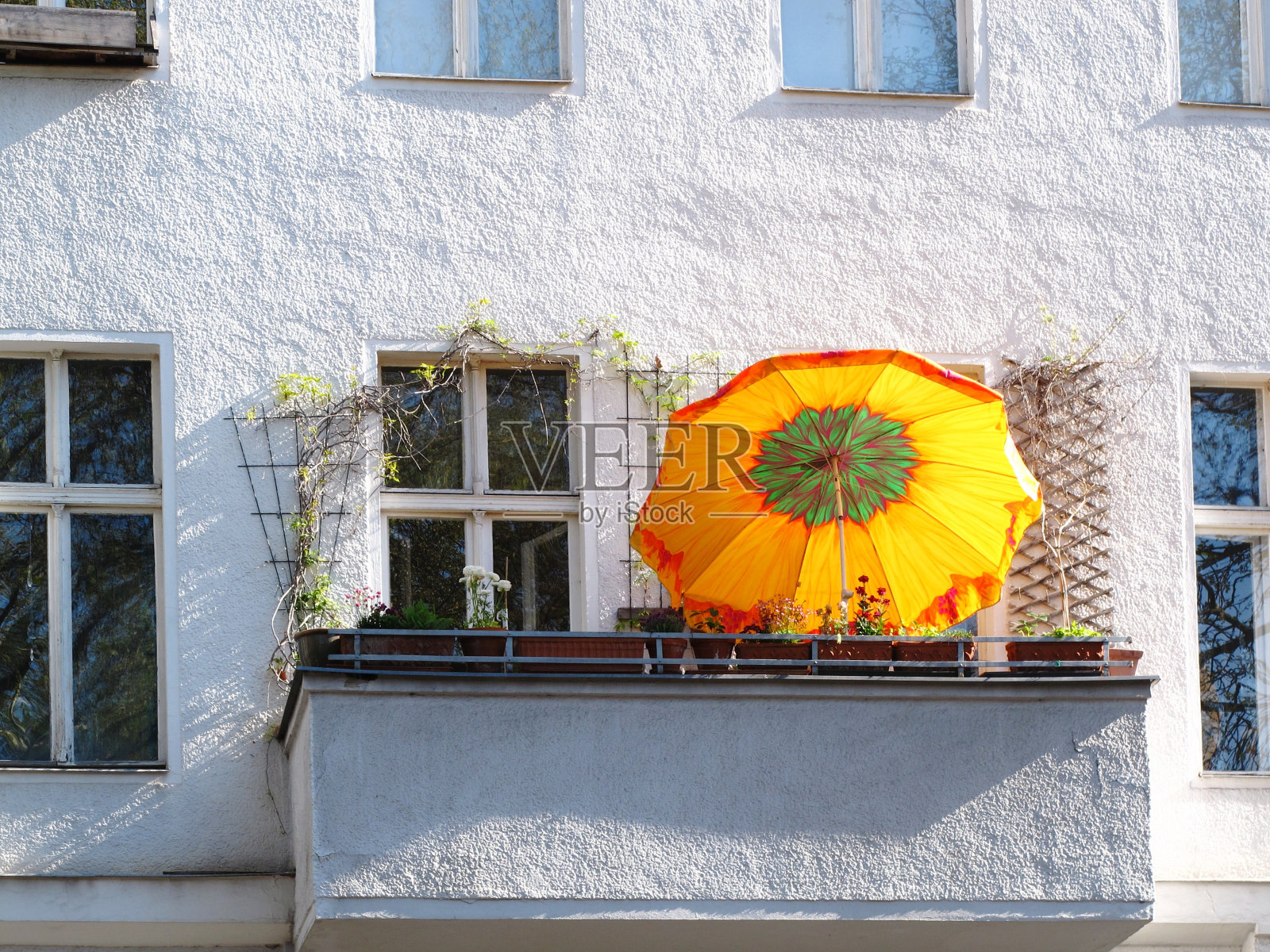 蓝天衬托下的建筑照片摄影图片