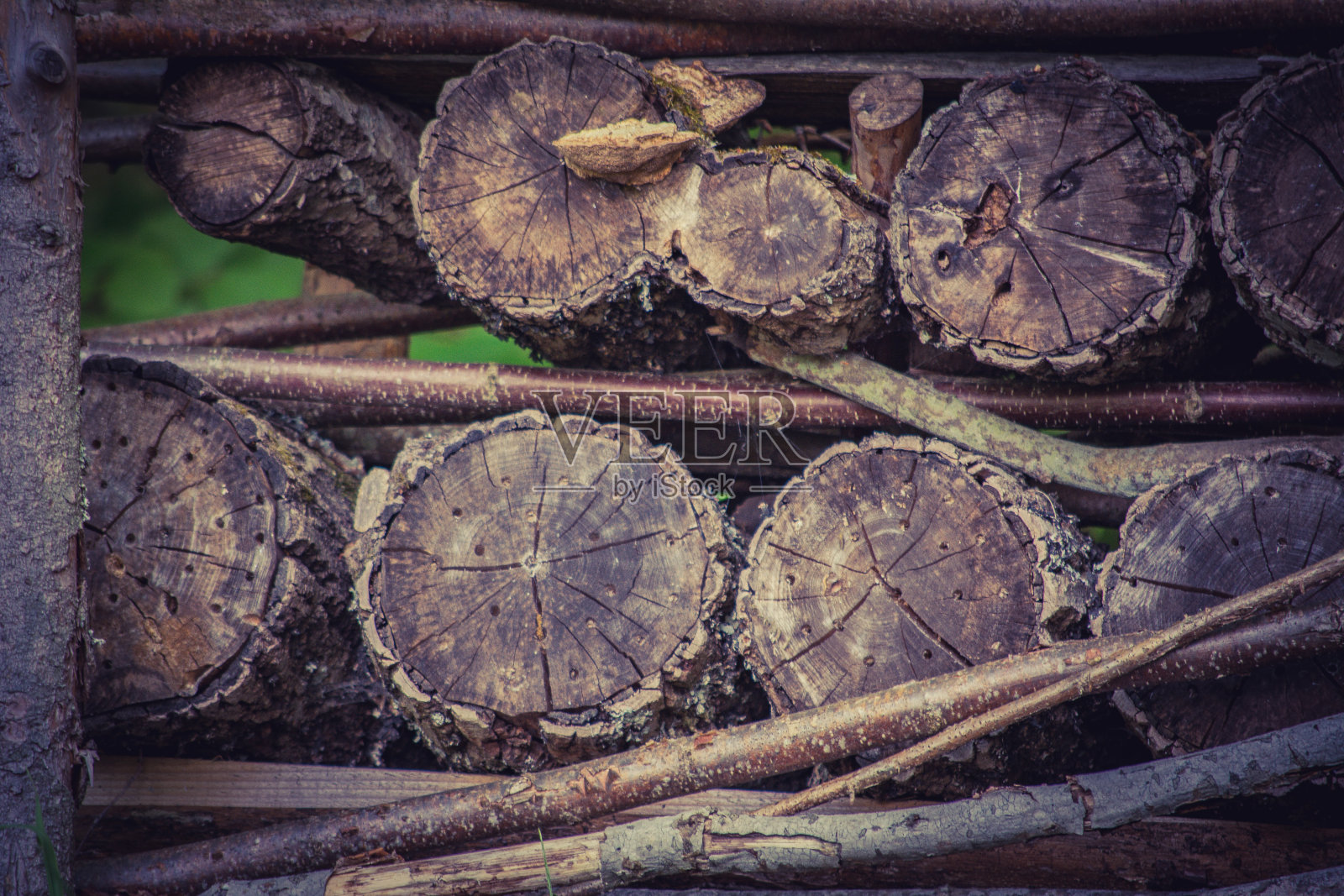 用树枝和树干做成的栅栏照片摄影图片