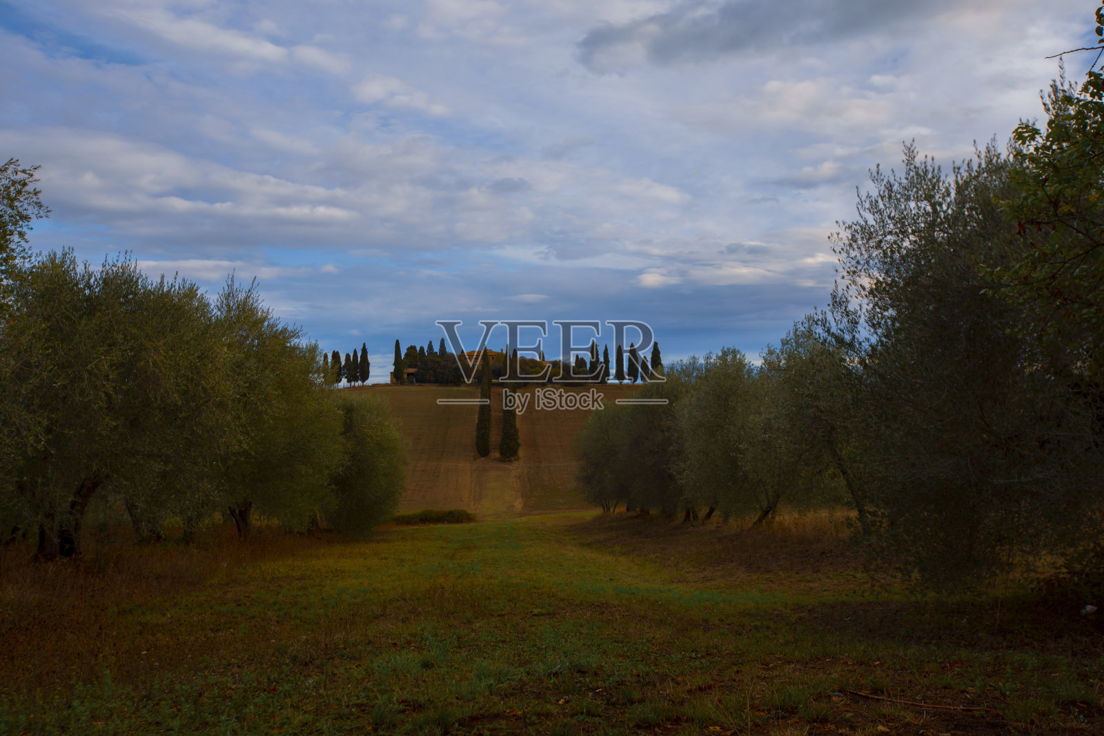 阿西萨诺附近农舍的全景，背景是瓦尔德奥尔恰山。照片摄影图片