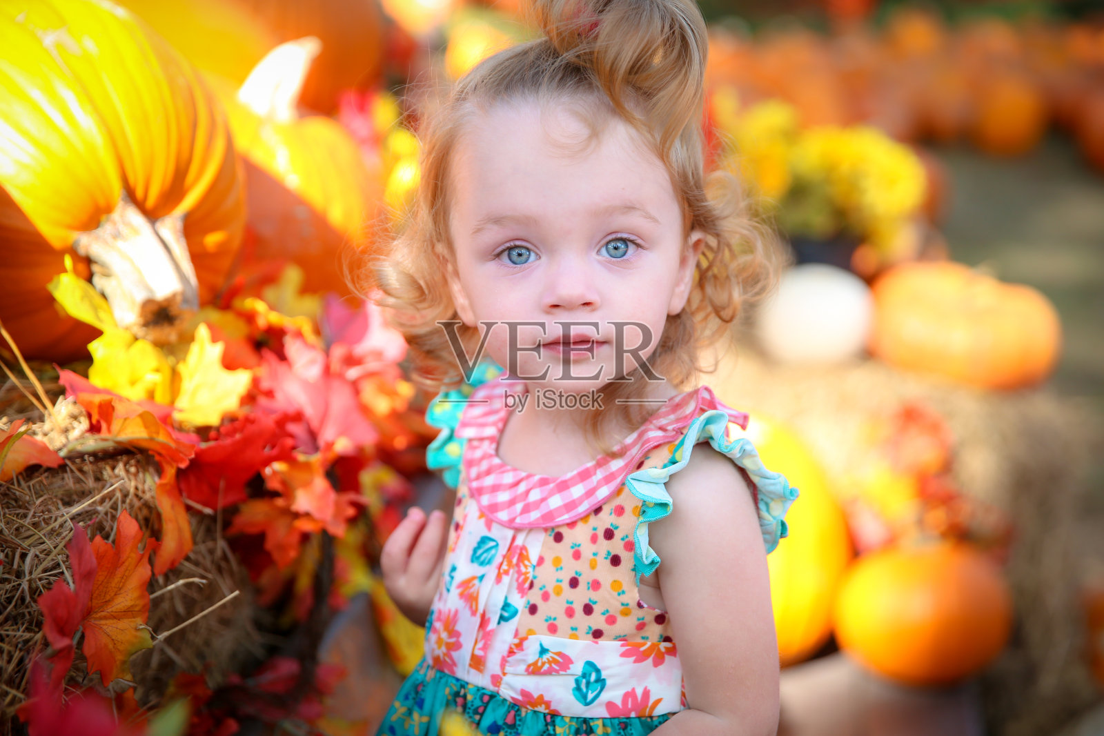 秋天里，公园里南瓜堆中的长椅上女孩的肖像照片摄影图片