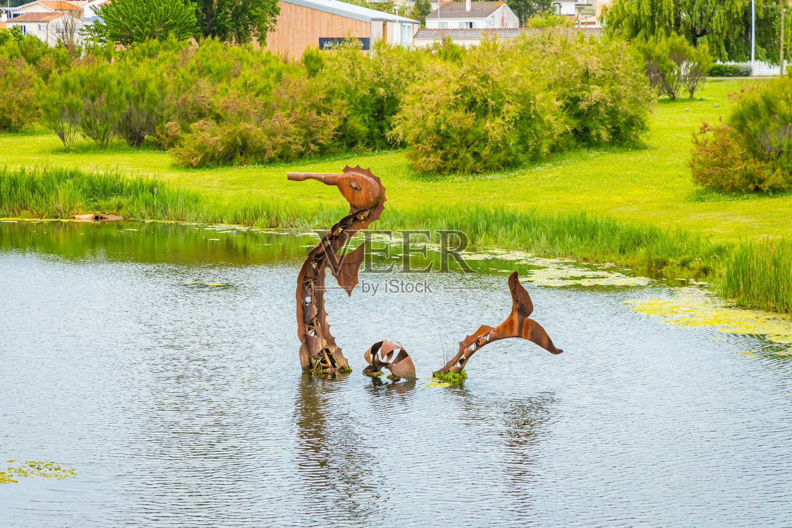 努罗在法国圣特罗昂-莱班池塘里的海马雕像照片摄影图片