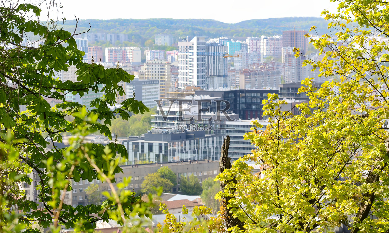 从城堡山上穿过树林俯瞰利沃夫古城照片摄影图片