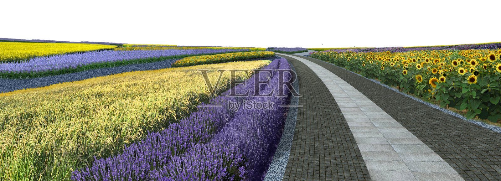 花园树植物在白色的背景与剪辑路径，3d插图，3d渲染照片摄影图片