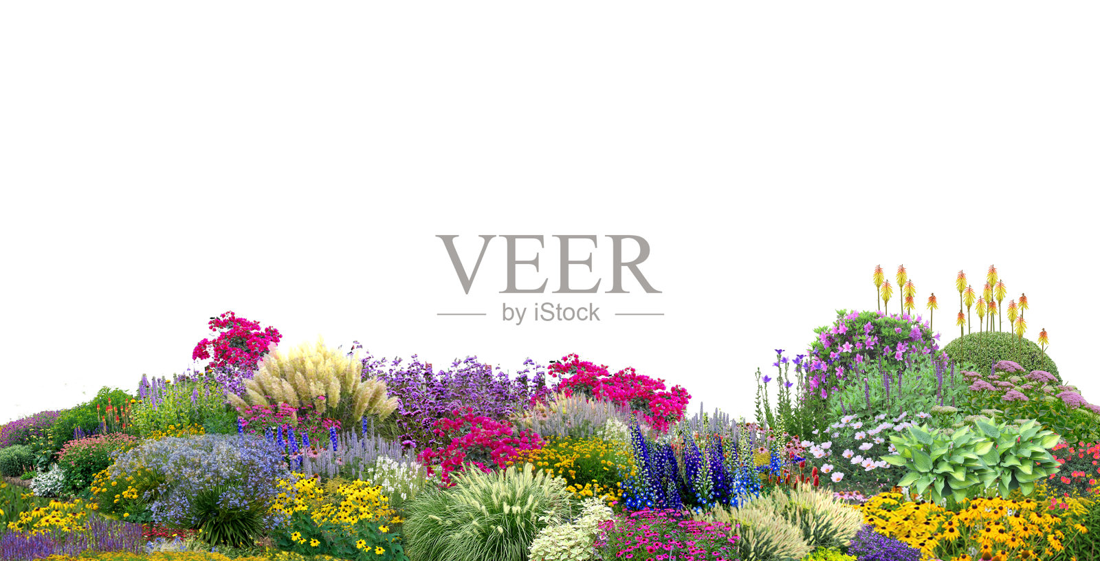 花园树植物在白色的背景与剪辑路径，3d插图，3d渲染照片摄影图片