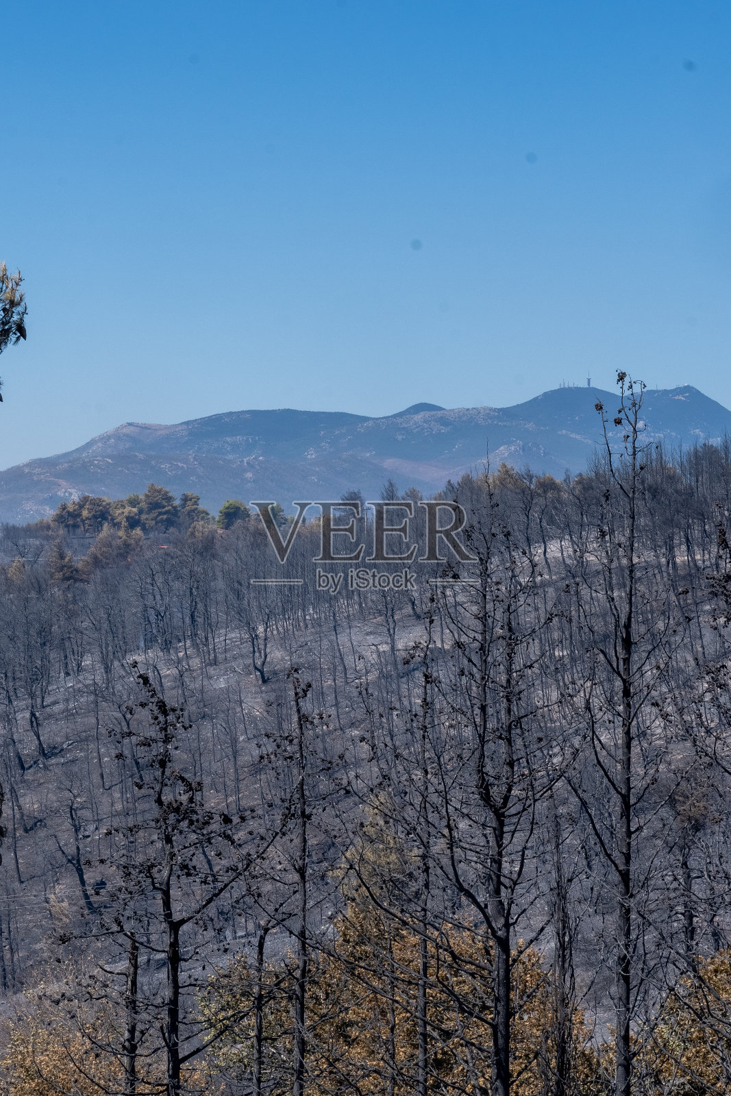 大火后照片摄影图片