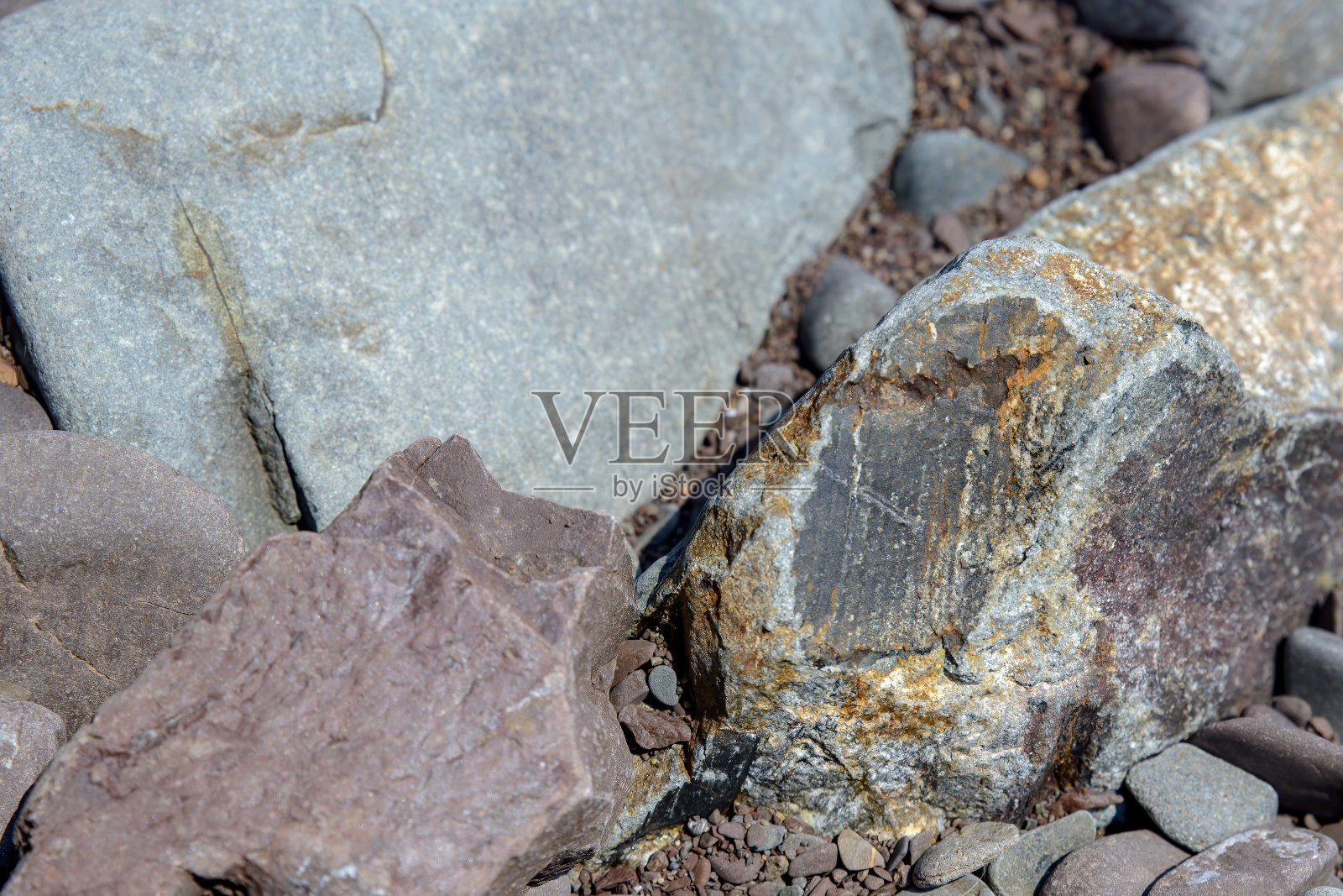 小风化化石蕨类碎片照片摄影图片