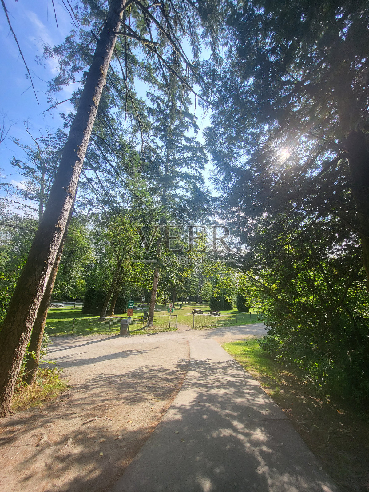 不列颠哥伦比亚省本拿比的巴尼特公路和巴尼特海洋公园的植物群和景色照片摄影图片