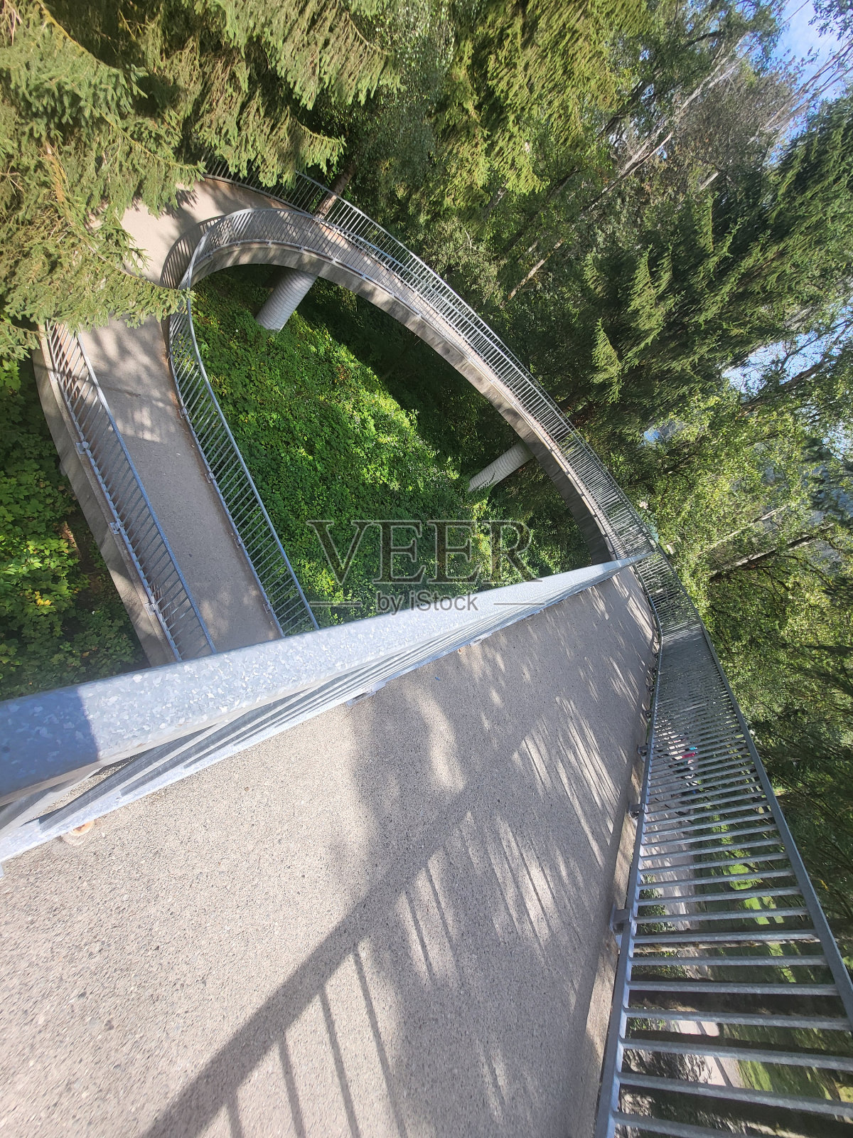 不列颠哥伦比亚省本拿比的巴尼特公路和巴尼特海洋公园的植物群和景色照片摄影图片