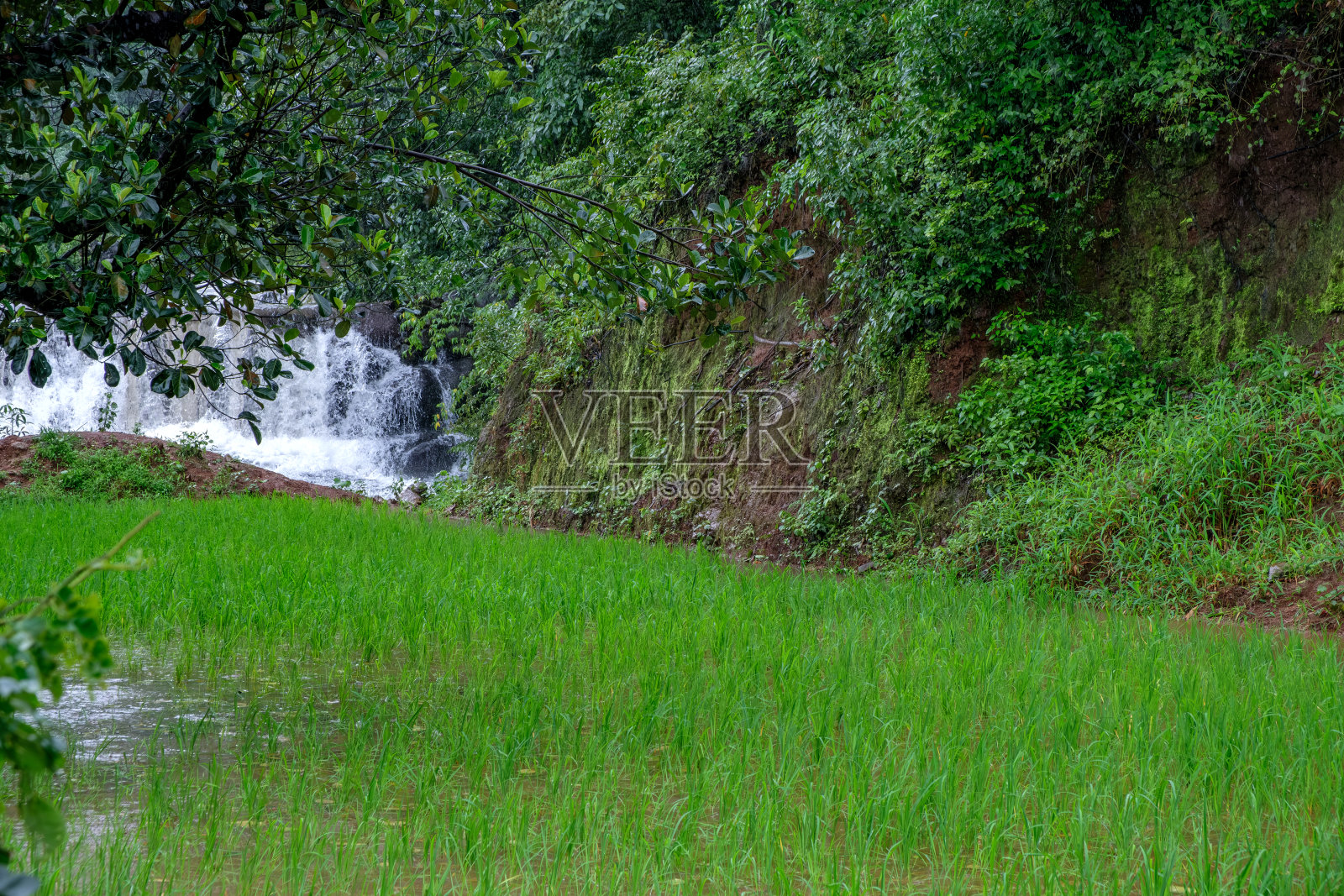 印度季风景观照片摄影图片