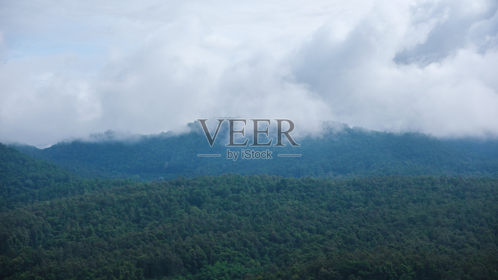 阴天的绿色雨林山脉景观图像照片摄影图片