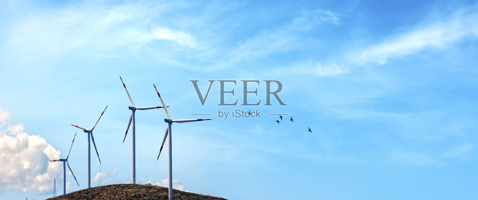 山上有一组风力涡轮机，天空中有一群鸟照片摄影图片