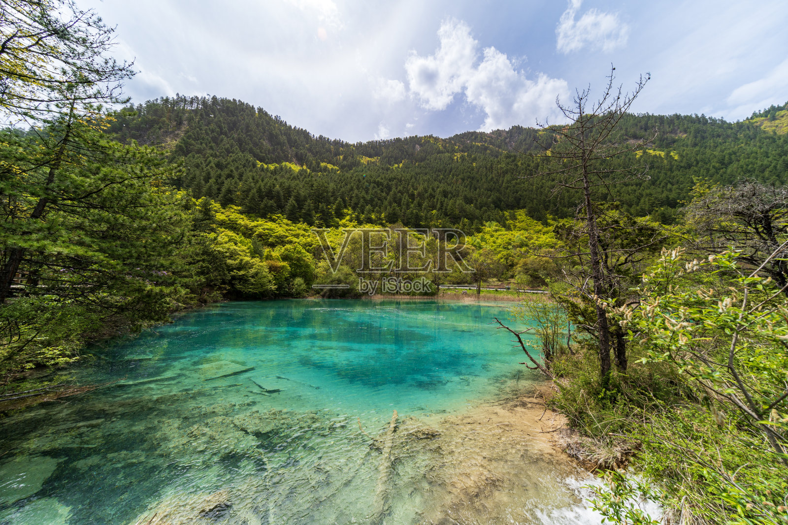 九寨沟双龙湖，又名双龙湖照片摄影图片